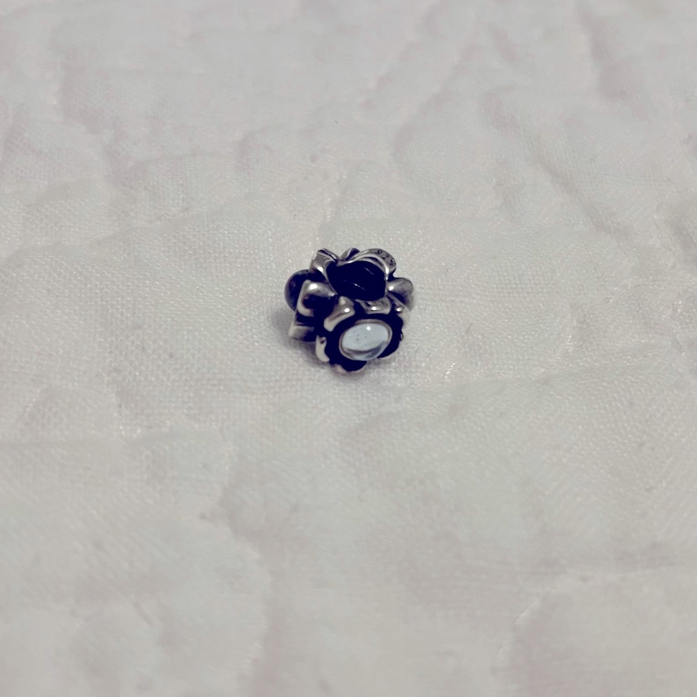 Pandora Charm